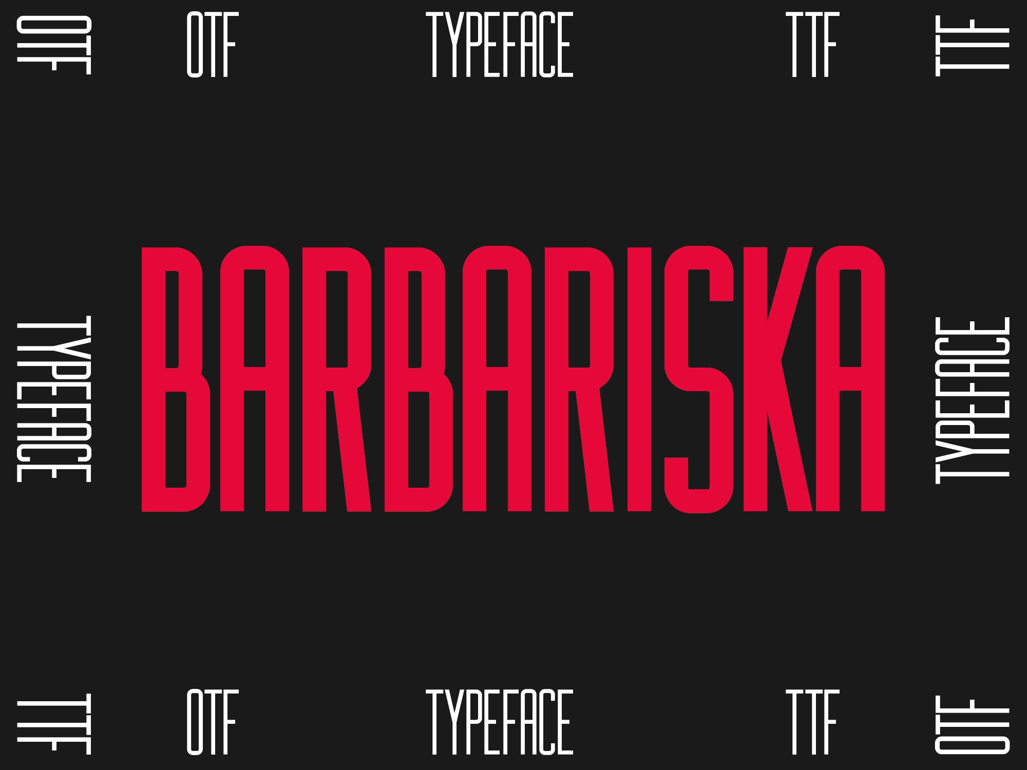 BARBARISKA Typeface. Bold and Elegant Font for Creative ProjectsOTF, TTF. Font for procreate.