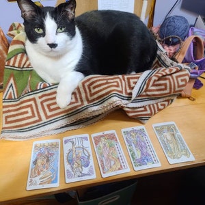 Tarot du gros chat. Demandez à mon chat de lire votre fortune. tirage de 3 cartes