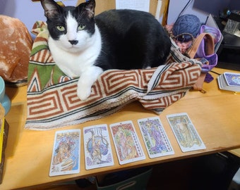 Fat Cat Tarot. Have my cat read your fortune. 3 card pull
