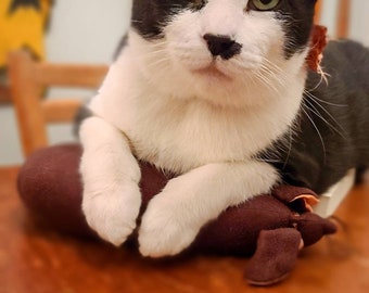 Fat Cat Tarot. Have my cat read your fortune. 7 card pull