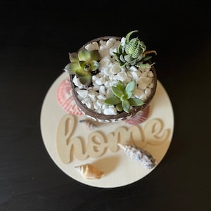 Sustainable Coconut Shell Succulent Pots – Eco Friendly Indoor Planters for Unique Gifts and Décor | Perfect for Indoor Planting & Gifting