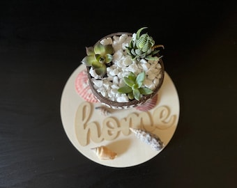 Coconut Shell Succulent Pot: Eco-Friendly Boho Planter