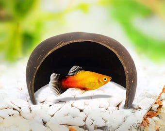 Coconut Shell Aquarium Cave: Natural Fish Hideaway