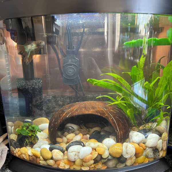 Coconut Shell Aquarium Cave Etsy