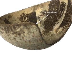 Coconut Cave, Aquarium Decoration, Natural Fish
Hide, Betta Cave, Aquarium Cave, Fish Hideaway,
Shrimp House, Pleco Hide, Crab Cave, Frog Hide,
Nano Tank Decor, Tank Accessories, Natural
Reptile Hide