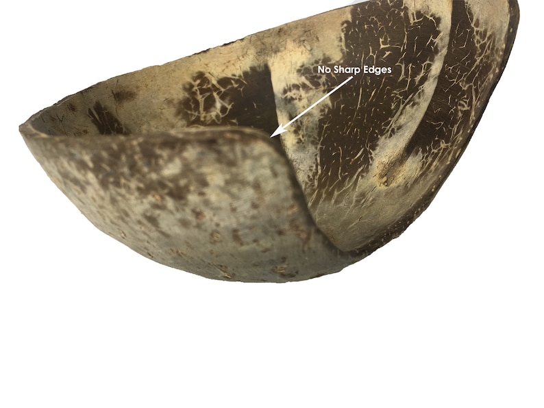 Coconut Cave, Aquarium Decoration, Natural Fish
Hide, Betta Cave, Aquarium Cave, Fish Hideaway,
Shrimp House, Pleco Hide, Crab Cave, Frog Hide,
Nano Tank Decor, Tank Accessories, Natural
Reptile Hide