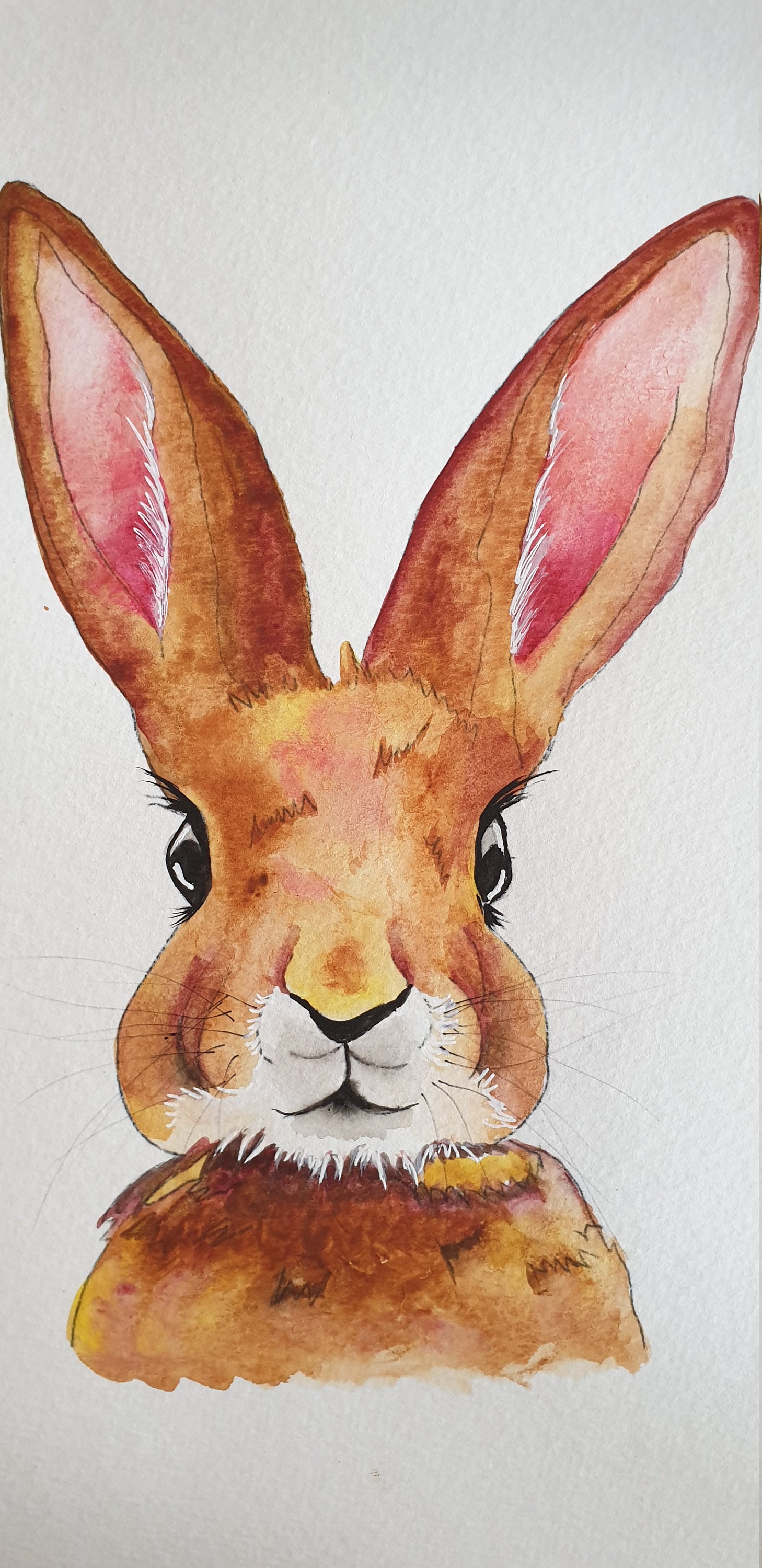 Hase Druck Hase Kinderzimmer Hase Malerei Wald Kinderzimmer | Etsy