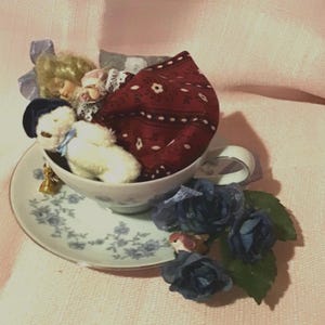 Tessie and Teddy Teacup Nap