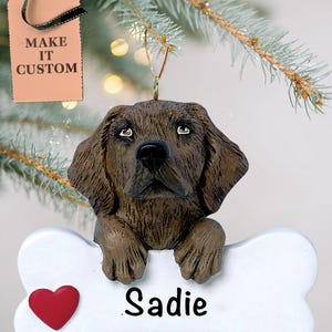 Décoration personnalisée pour animal de compagnie • Cadeau de Noël en chocolat pour chien labrador • Cadeaux personnalisés pour les amateurs d'animaux de compagnie • Souvenir commémoratif de chien mignon • Os de chien