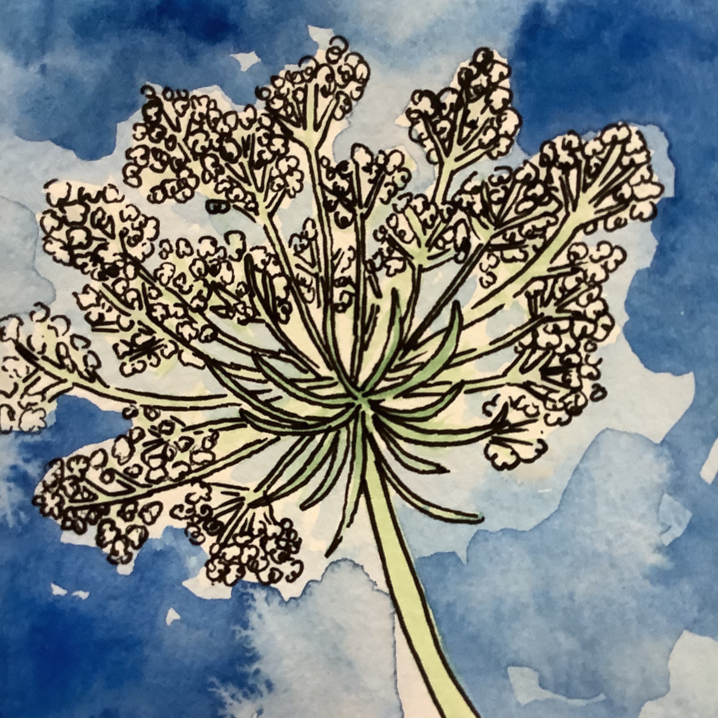 Hand bemalt Original Mini Blumengemälde Aquarell Königin Anne | Etsy