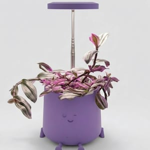 May include: A whimsical purple planter with a smiling face and small feet, holding a Tradescantia plant with pink and green leaves. A silver pole supports a purple light above the plant, creating a unique indoor garden feature.