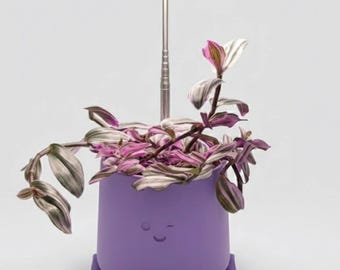 Fungi Pot with Integrated Grow Light Stand - 7 Inch Modern Indoor Planter with Telescoping LED Light - Cute Winking Plant Pot and Holder Set