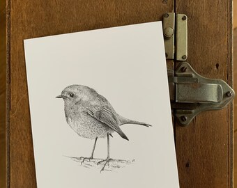 Briefkaart Roodborst Pentekening