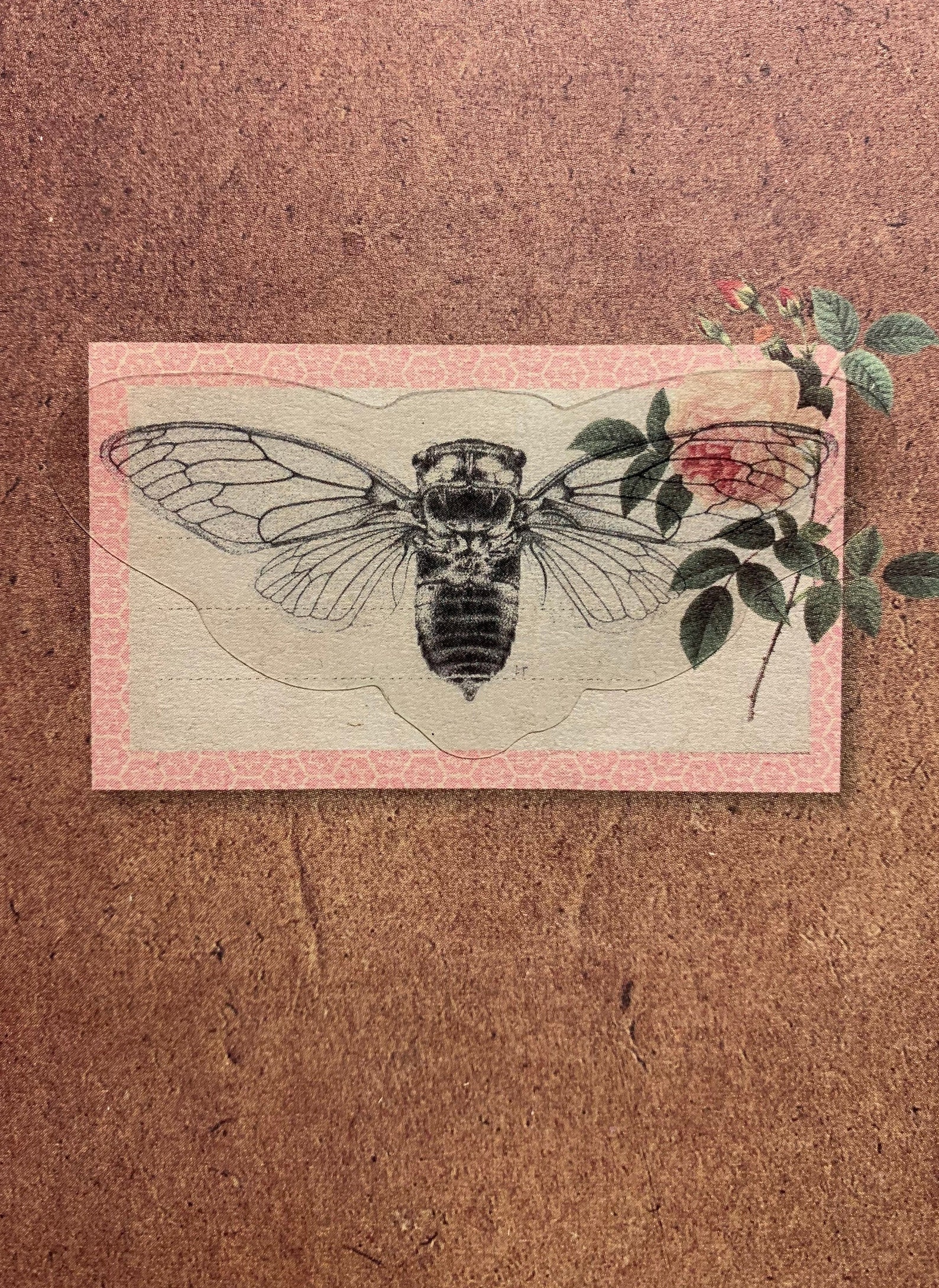 Set of 3 stickers with free postcard Etsy