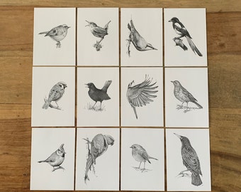 Set of 12 Postcards Garden Birds