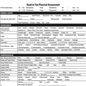 BEST Head to Toe assessment template nursing school new nurse, printable   2 pages pdf digital download