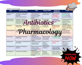 Antibiotic Cheat Sheet for NP, PA Students | Digital Download | Quick Pharmacology Reference for Exams & Clinical Practice