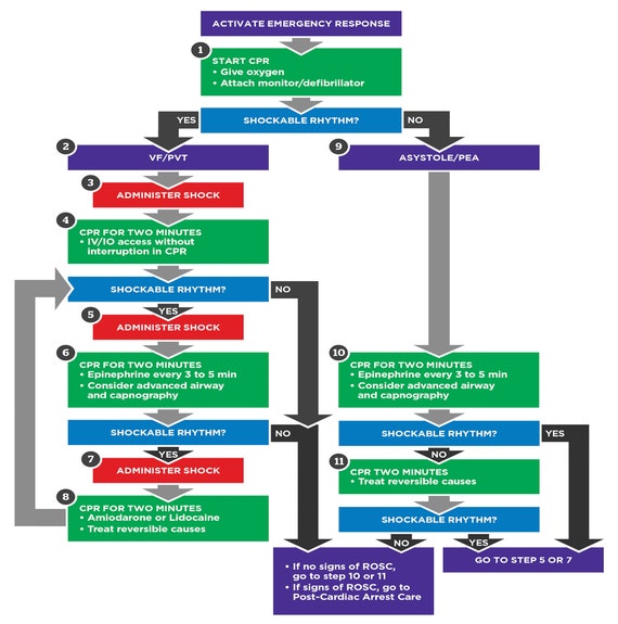 Acls Study Guide For Advanced Cardiovascular Life Support The Etsy