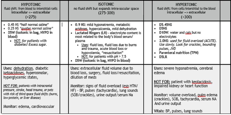 Electrolytes Imbalance Chart for Nursing Students, 4 Pages Printable ...