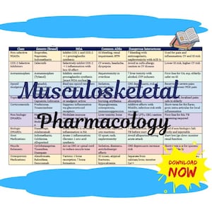 Musculoskeletal Pharmacology Chart for NP  PA Students | Pain Meds, DMARDs, Gout, NSAIDs | Digital PDF Study Guide