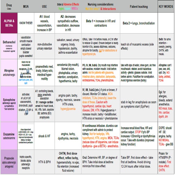 Pharmacology Study Guide to Pass BSN Pharmacology Class 20 Etsy