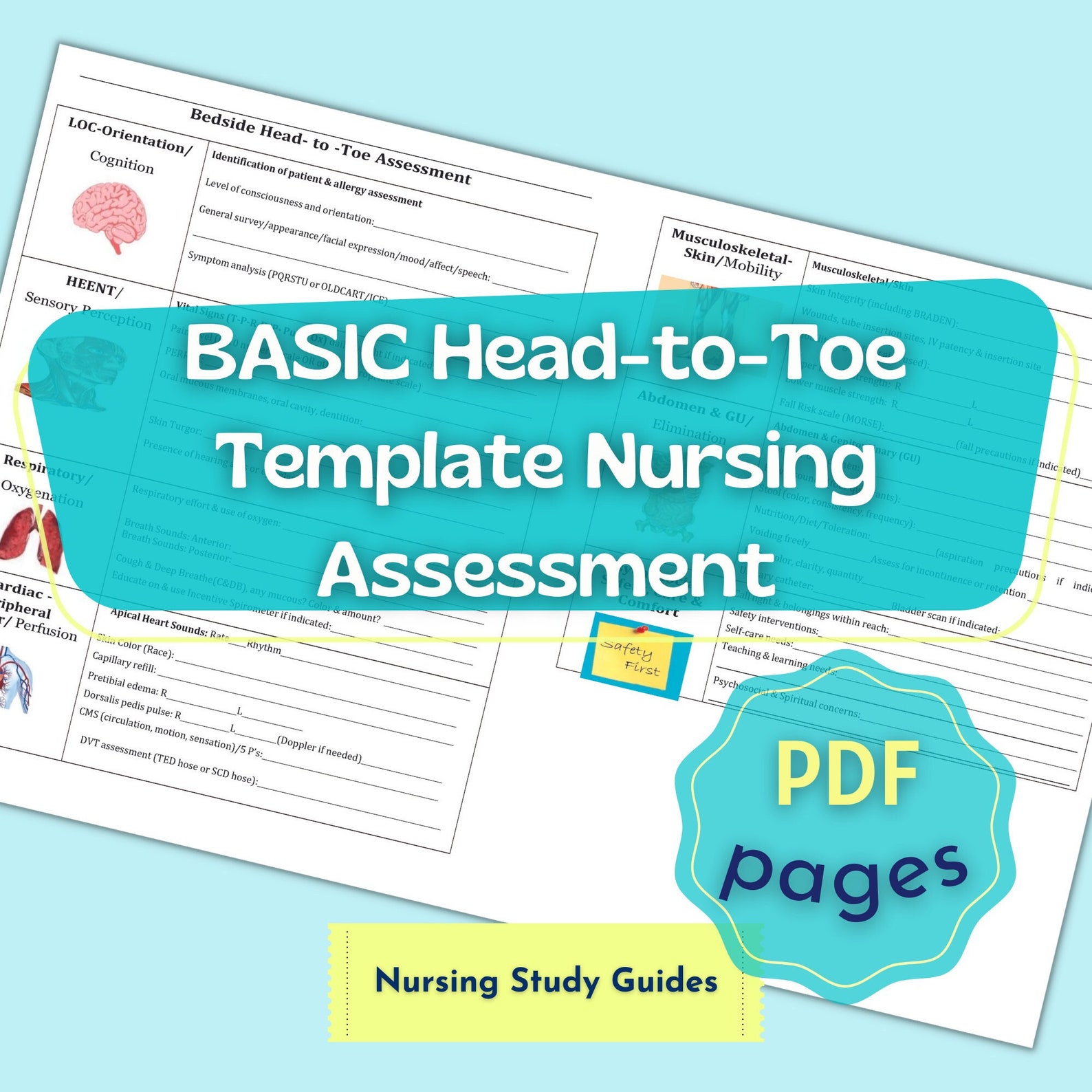 BASIC Head-to-toe Template Nursing Assessment 2 Pages - Etsy