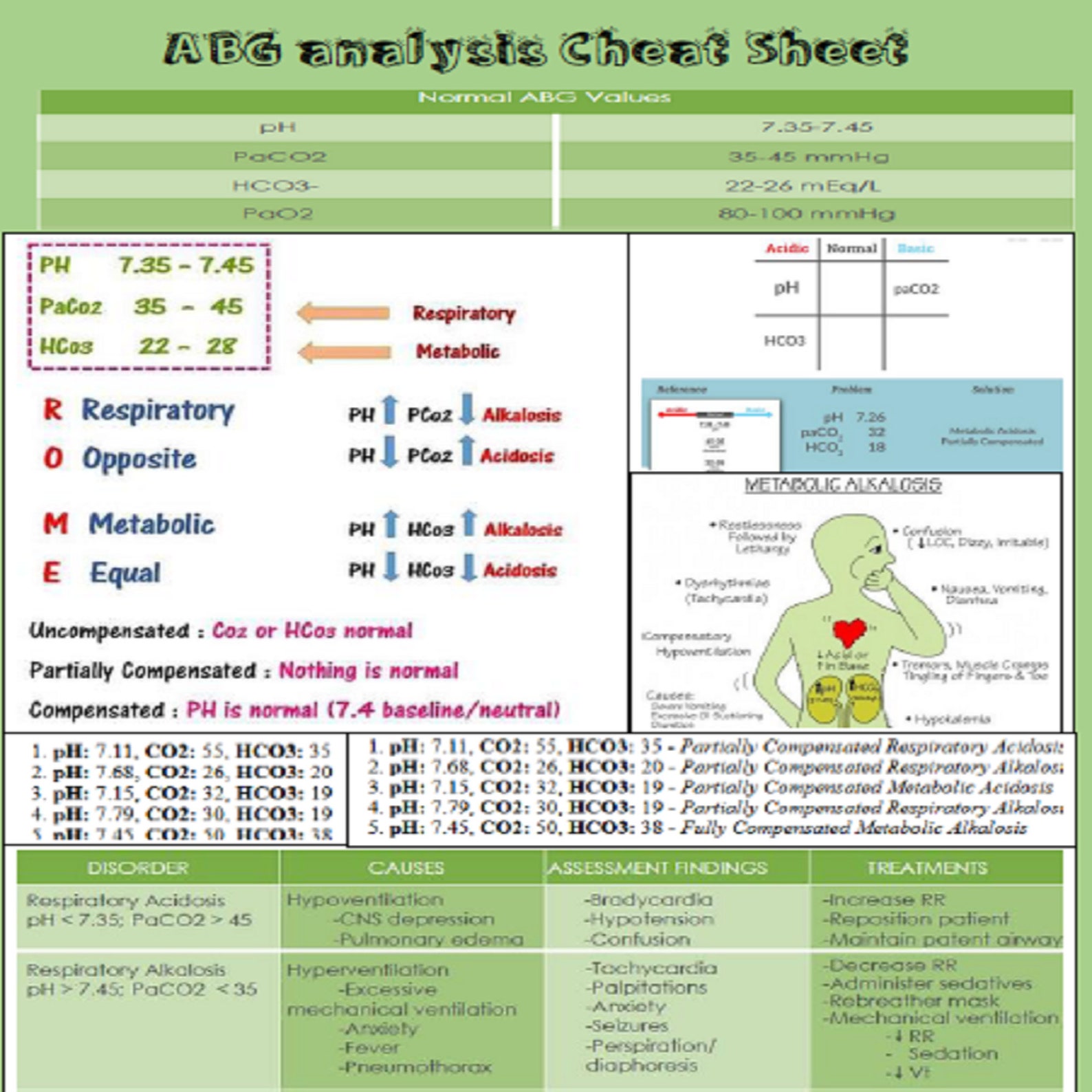 ABG Study Guide for Nursing Students RN and LPN, 1 Page Printable ...