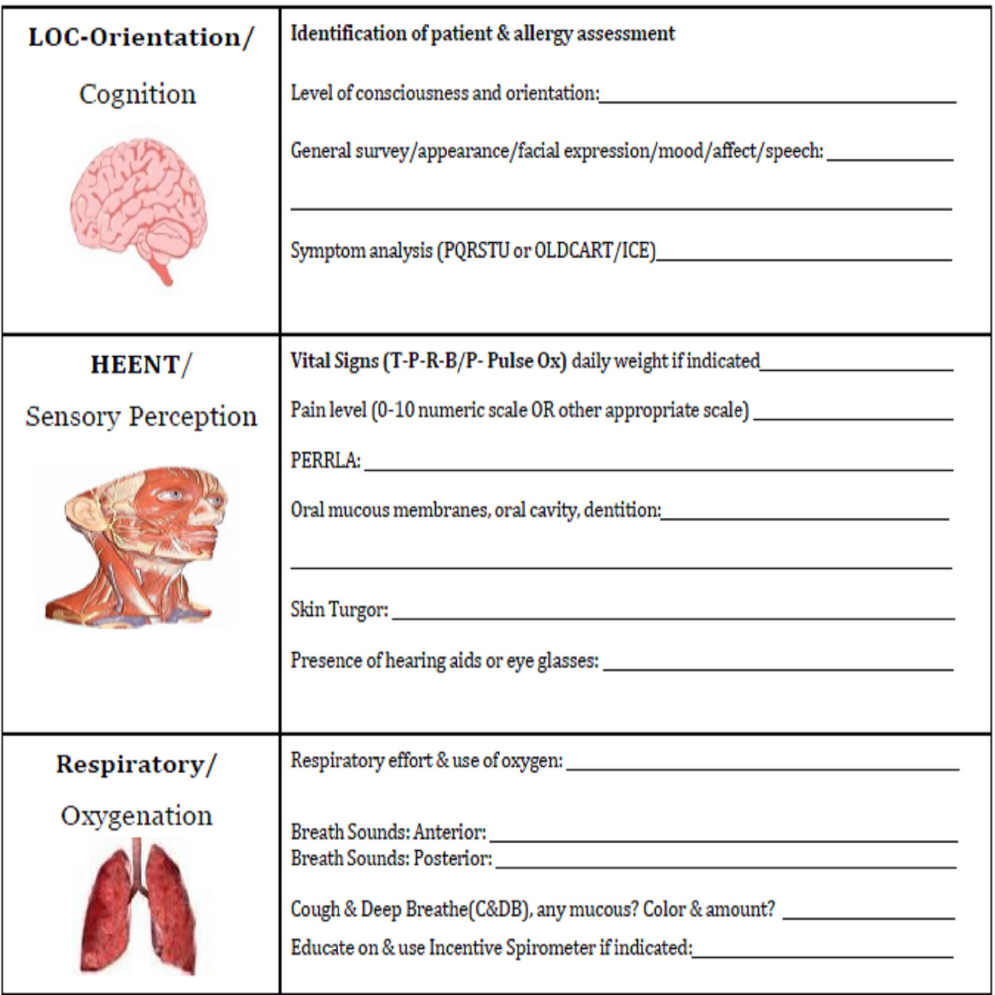 BASIC Head-to-Toe Template Nursing Assessment 2 pages - Etsy España