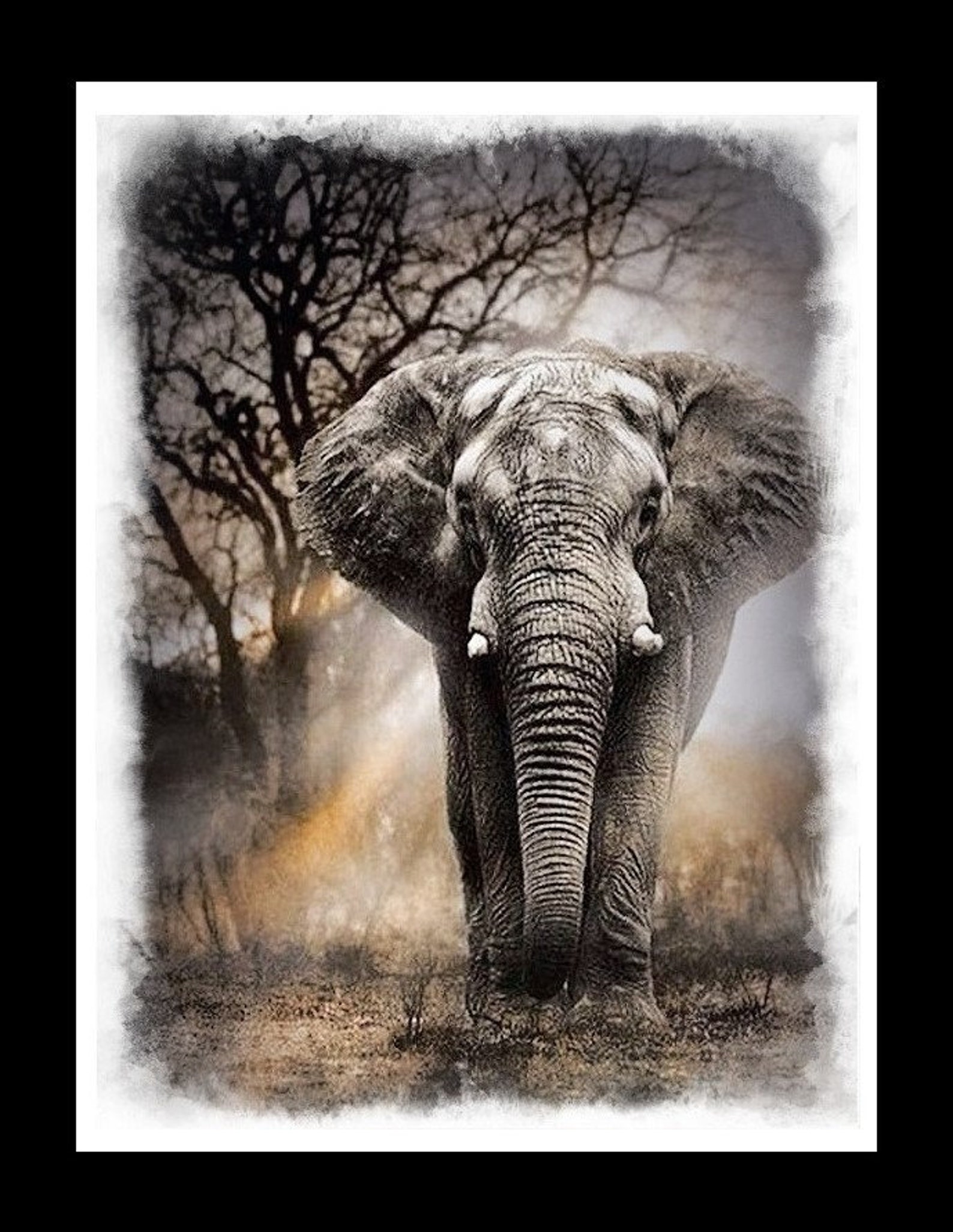 Слон на заставку телефона. Красивый слон. Картина по номерам слон. Африканский слон. Слоны в природе.