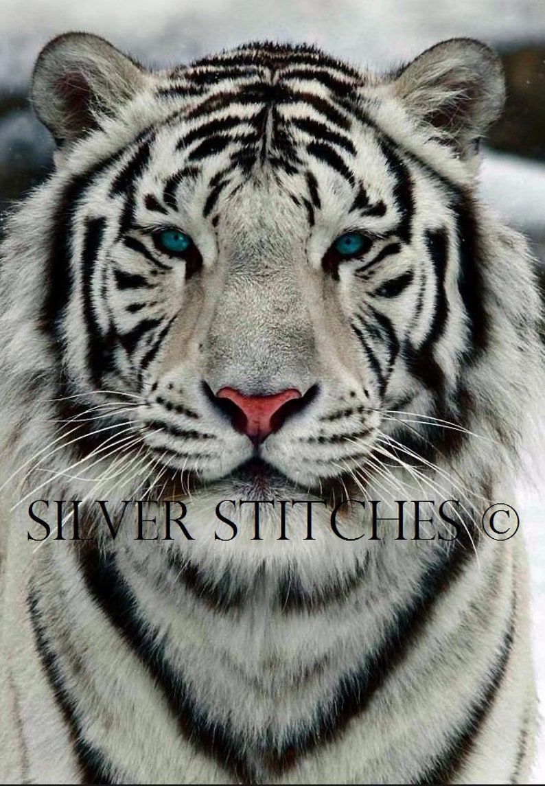 Tiger Climbing Tree — Stock Photo © thanarak 54394983