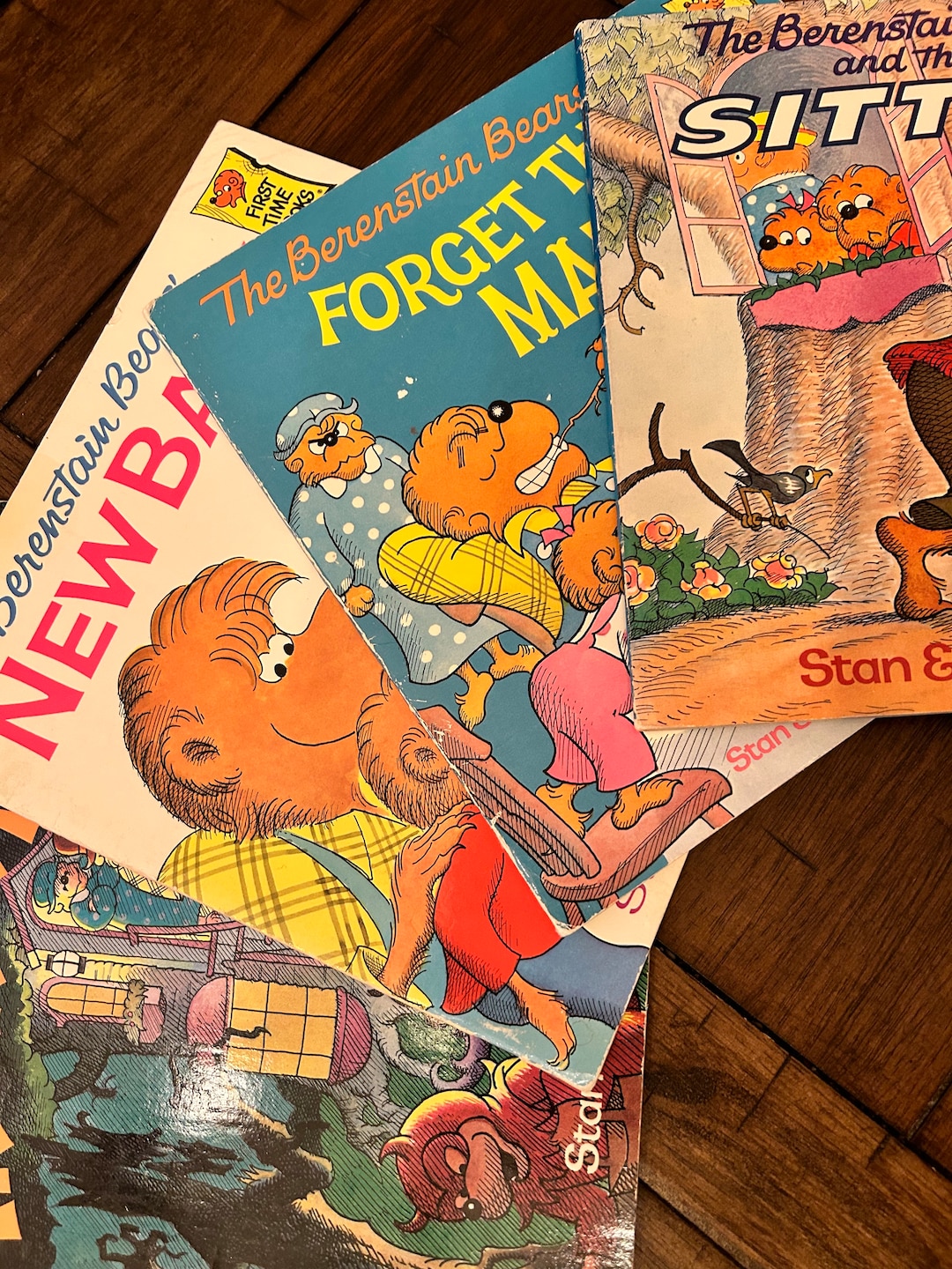 Berenstain Bear Books Etsy