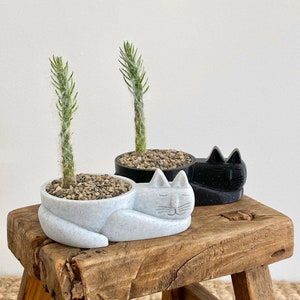 Cute Sleepy Cat Planter Cactus or Succulent Tail - Plant Gift Idea - Cat Loss Memorial -  Kitten Pot Plants - Air Plant Holder Ceramic Look