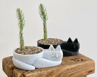 Cute Sleepy Cat Planter Cactus or Succulent Tail - Plant Gift Idea - Cat Loss Memorial -  Kitten Pot Plants - Air Plant Holder Ceramic Look