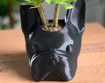 French Bulldog Planter, French Bulldog Head, Frenchie Planter,  French Bulldog Gift Idea, Frenchie Lover, French Bulldog Decor, Dog Planter
