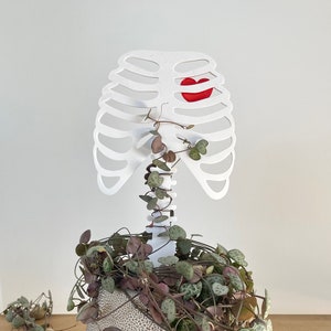 Skeleton Trellis with Heart - Indoor Plant Trellis - Trellis for Climbing Plants - Orthopedic Doctor Gift - Plant Gifts - Houseplant Trellis