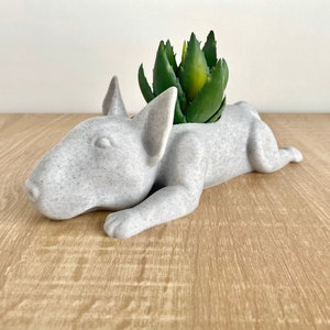 Bull Terrier Planter - English Bull Terrier Statue - Bull Terrier Gift - Bull Terrier Lover - Bull Terrier Home Decor - Dog Planter