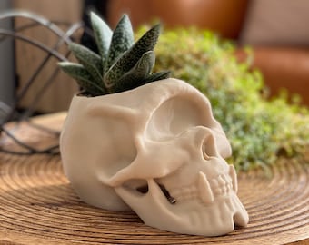 Décor de crâne, décor à la maison gothique, jardinière de crâne, jardinière succulente, jardinière d'intérieur de crâne de cyclope, pot de stylo de crâne