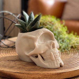 Skull Decor, Gothic Home Decor, Skull Planter, Succulent Planter, Cyclops Skull Indoor Planter, Skull Pen Pot image 1