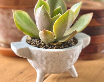 Mortar Mexican Planter - Kitchen Decor - Mexican Art - Succulent Planter - Mexican Pottery - Unique Planter - Mexican Decor