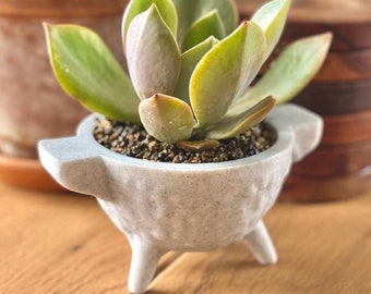 Cauldron Planter, Fall Planter, Modern Planter, Succulent Planter Ideas, Unique Succulent Pots, Eco-friendly Gift