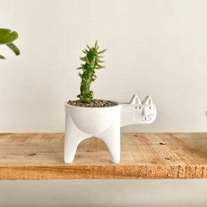 Cat Planter, Cat Cactus Planter, Cat Succulent Planter, Cat Gift Idea, Minimalist Decor, Boho, Cat Plant Pot, Cat Decor Cool White