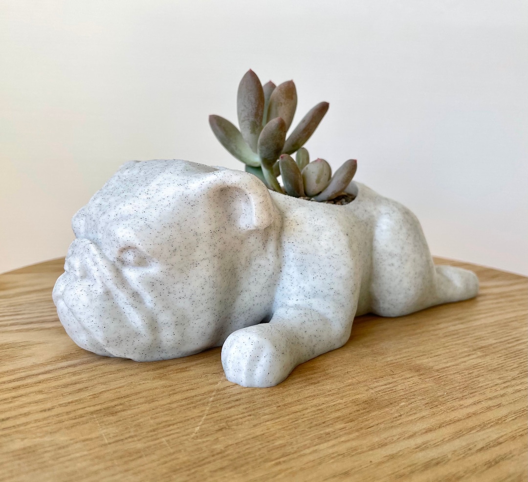 English Bulldog Planter Cute Dog Planter English Bulldog Pot English