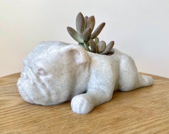 English Bulldog Planter - Cute Dog Planter - English Bulldog Pot - English Bulldog Gift - Bulldog Planter - Bulldog Home Decor
