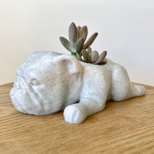 Maceta de bulldog inglés - Maceta de perro adorable - Maceta de bulldog inglés - Regalo de bulldog inglés - Maceta de bulldog - Decoración del hogar de bulldog