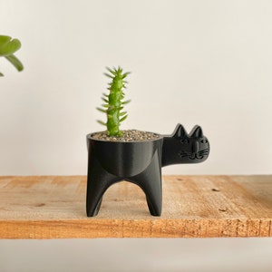 Cat Planter, Cat Cactus Planter, Cat Succulent Planter, Cat Gift Idea, Minimalist Decor, Boho, Cat Plant Pot, Cat Decor Plain Black