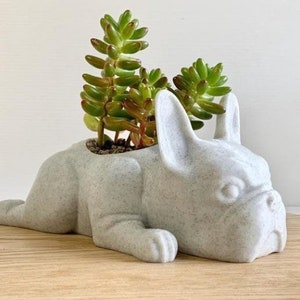 May include: White ceramic planter shaped like a French bulldog, with a succulent plant growing inside.