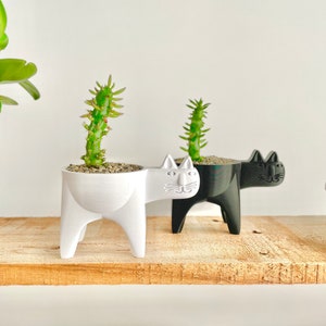 Cat Planter, Cat Cactus Planter, Cat Succulent Planter, Cat Gift Idea, Minimalist Decor, Boho, Cat Plant Pot, Cat Decor image 2