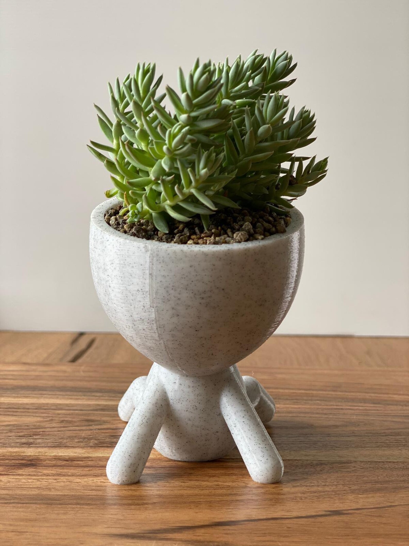 Midwife Gift Idea People Planter Pregnancy Gift Midwife | Etsy