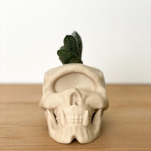 Skull Decor, Gothic Home Decor, Skull Planter, Succulent Planter, Cyclops Skull Indoor Planter, Skull Pen Pot image 4