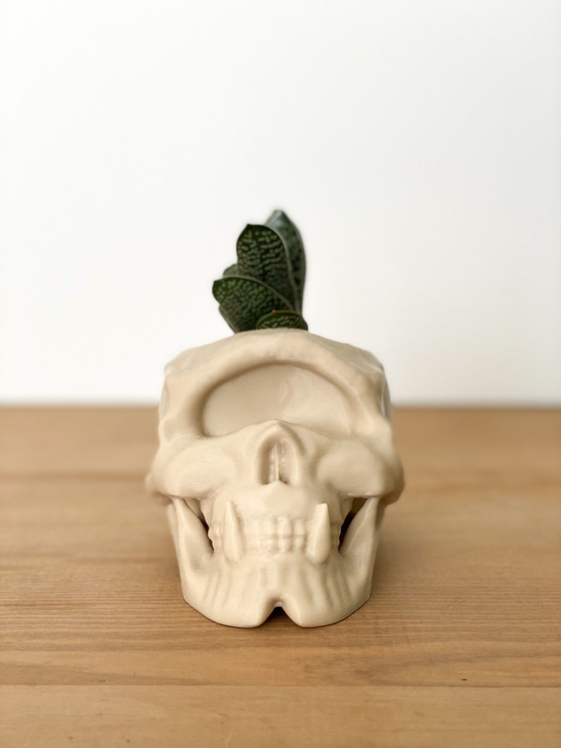 Skull Decor, Gothic Home Decor, Skull Planter, Succulent Planter, Cyclops Skull Indoor Planter, Skull Pen Pot image 4